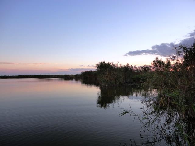 Sulina sept. 2013 - part. II - dsc00695.JPG